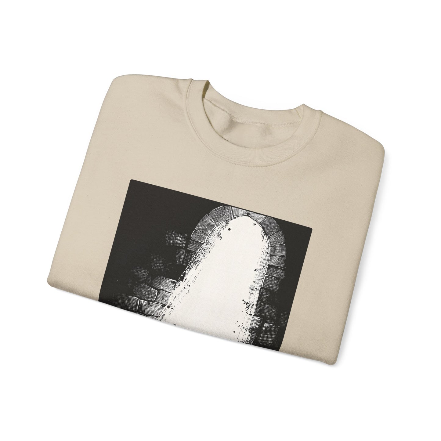 Daniel in the Lions’ Den Sweater – Black & White Faith Ink Panel (Dan 6:22)