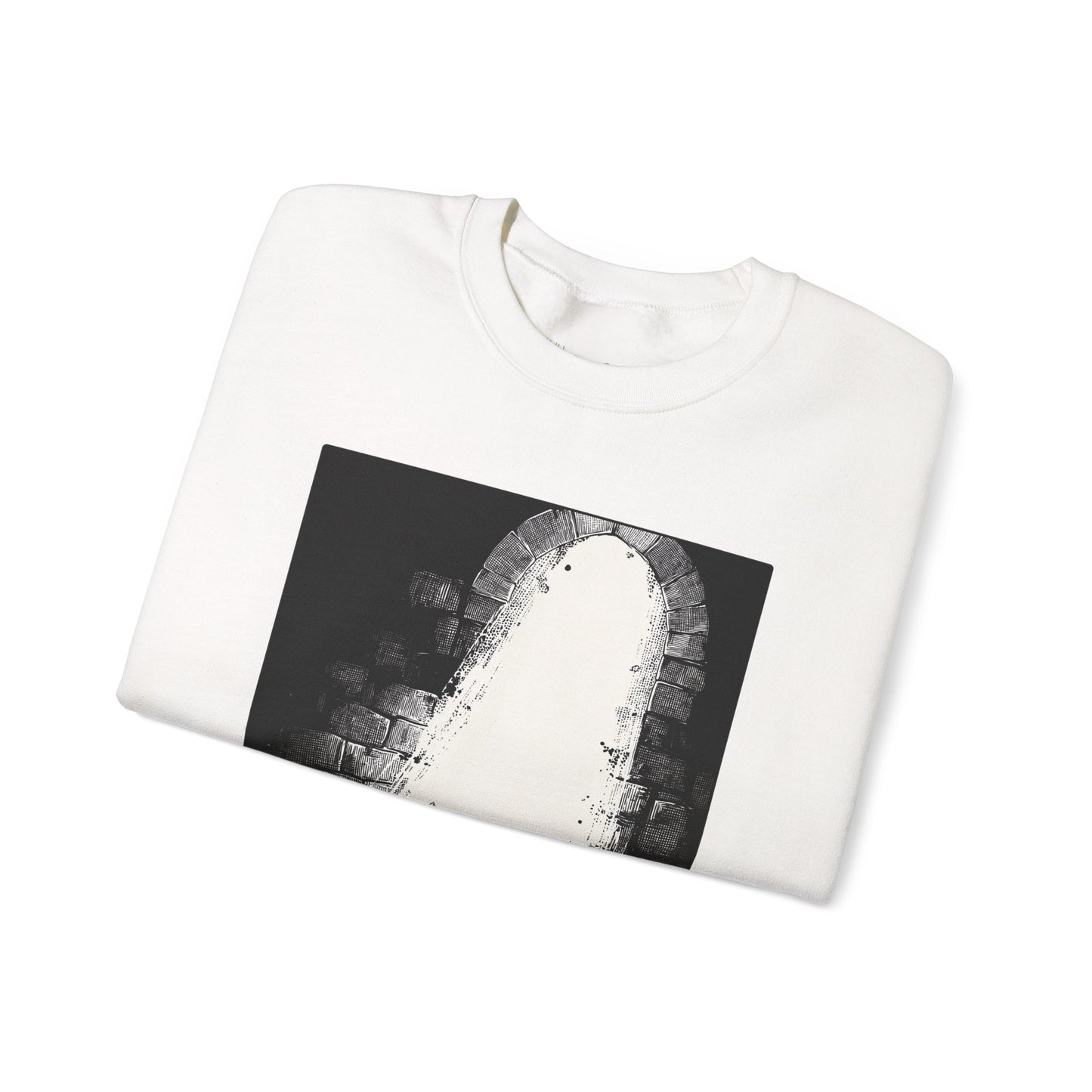 Daniel in the Lions’ Den Sweater – Black & White Faith Ink Panel (Dan 6:22)