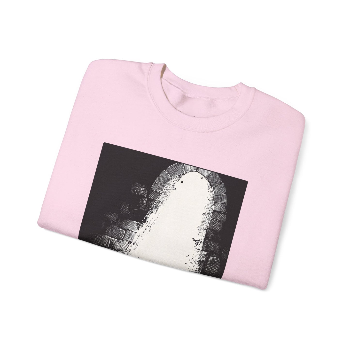 Daniel in the Lions’ Den Sweater – Black & White Faith Ink Panel (Dan 6:22)